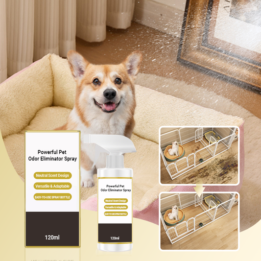 ✨Silny spray eliminujący zapachy zwierząt domowych🐶