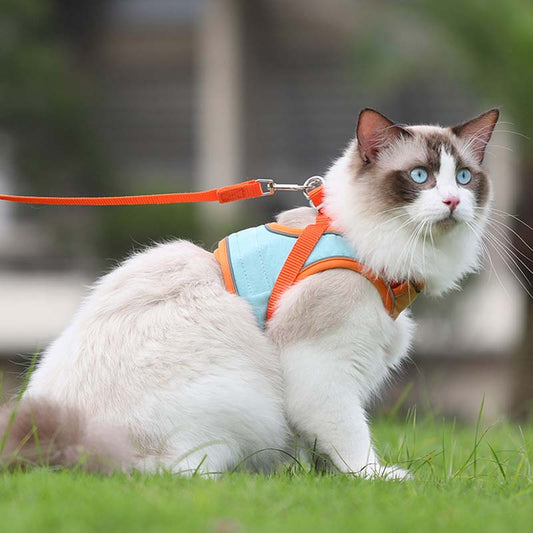 🐱Odblaskowa uprząż dla kota z smyczą zapobiegająca ucieczkom