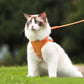 🐱Odblaskowa uprząż dla kota z smyczą zapobiegająca ucieczkom