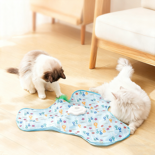 🐈Zestaw do zabawy w chowanego 2 w 1 dla kotów