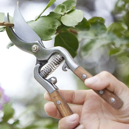 ✂️Wytrzymałe ostre sekatory do gałęzi – Profesjonalne cięcie! 🌿